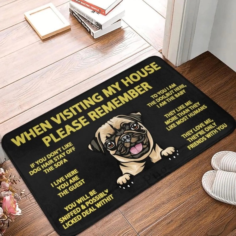 Bathroom Home Visit - Pet Doormat When Visiting My House